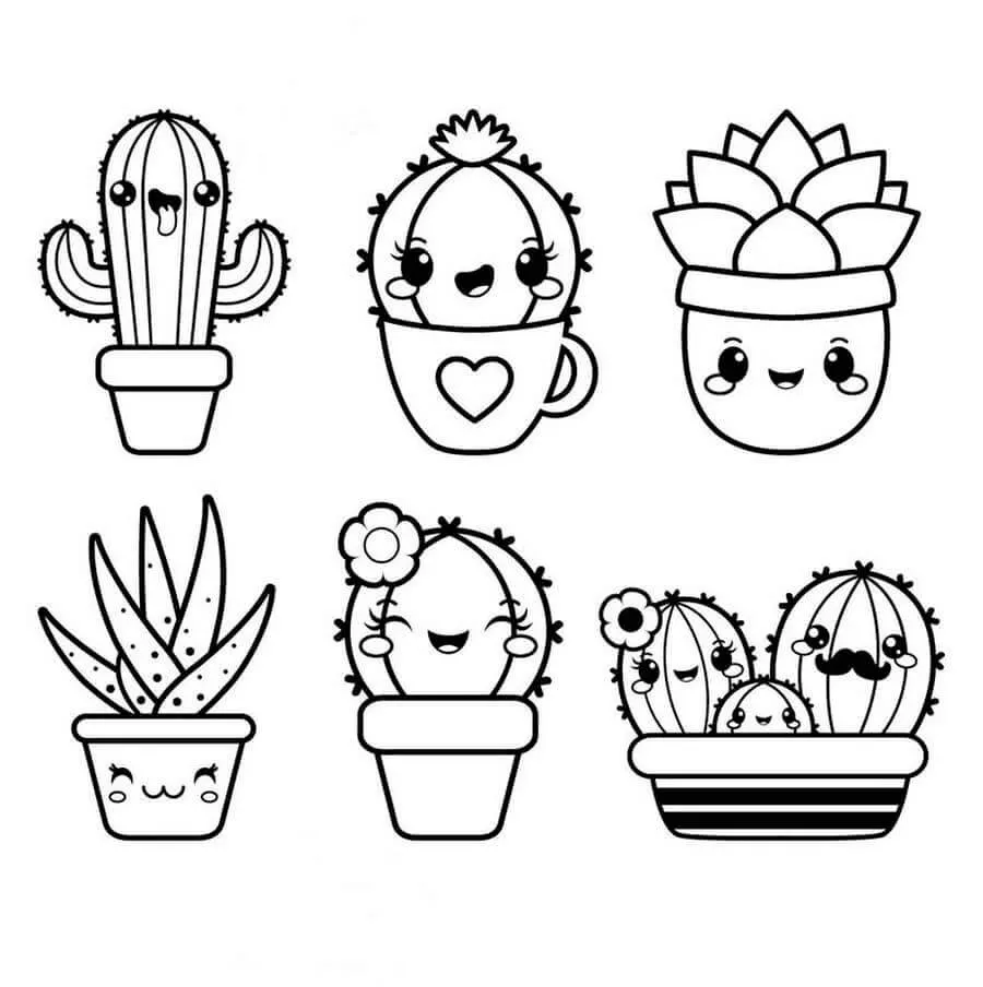 Cactus 40